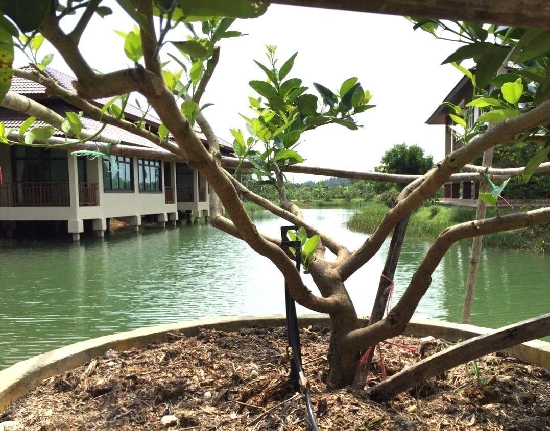 Lantala Residence Takua Thung Bagian luar foto