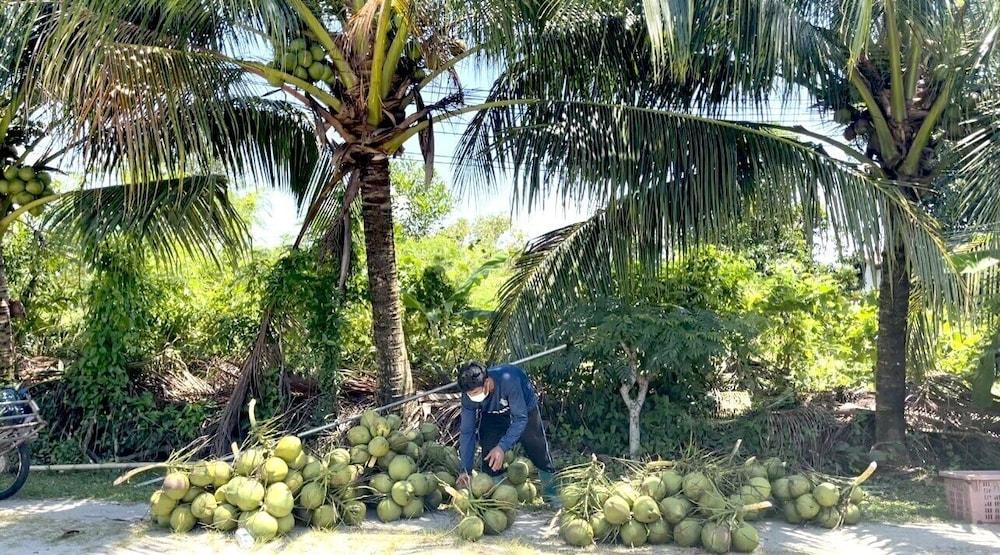 Lantala Residence Takua Thung Bagian luar foto