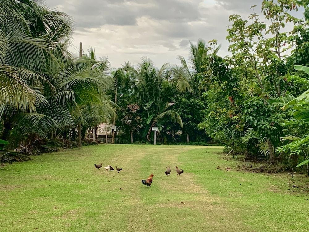 Lantala Residence Takua Thung Bagian luar foto